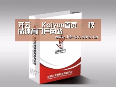 项目名称十三