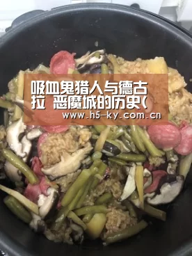 吸血鬼猎人与德古拉 恶魔城的历史(六)“开云体育”(图1) 开云体育官网