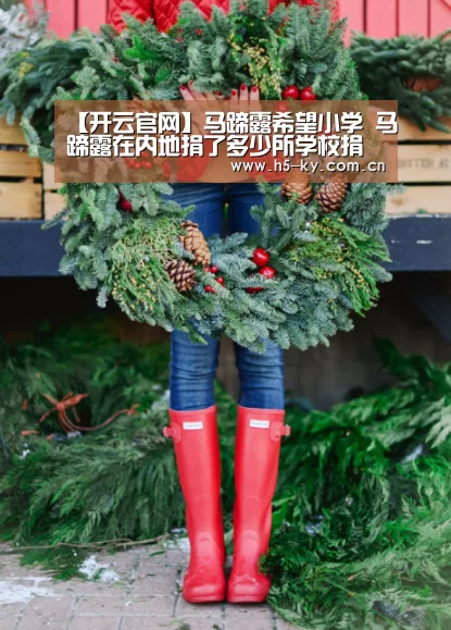 【开云官网】马蹄露希望小学 马蹄露在内地捐了多少所学校捐那了(图1) 开云体育